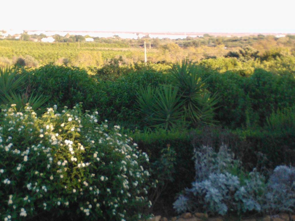 Quinta Da Moura Casa-De-Campo Pensionat Tavira Eksteriør billede