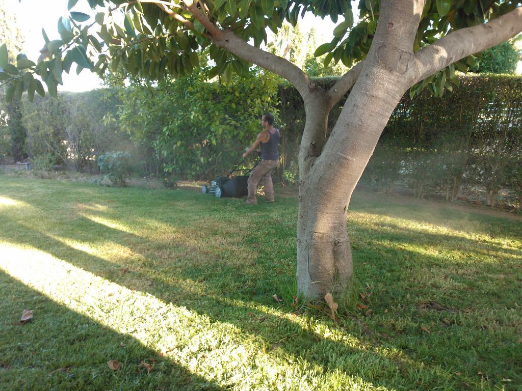 Quinta Da Moura Casa-De-Campo Pensionat Tavira Eksteriør billede