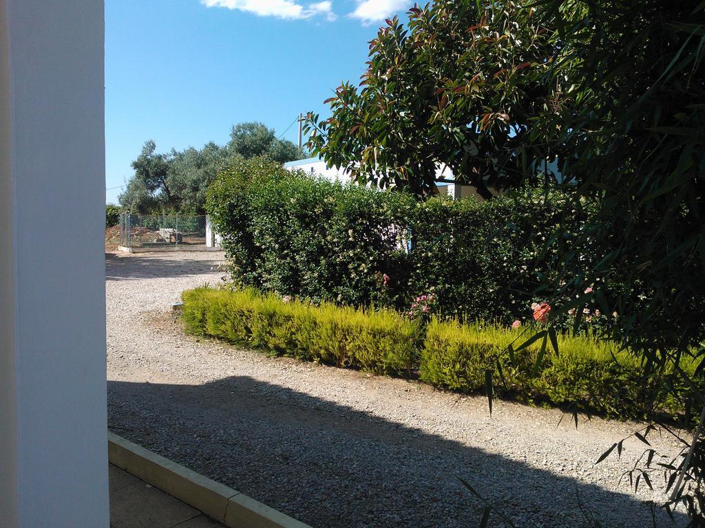 Quinta Da Moura Casa-De-Campo Pensionat Tavira Eksteriør billede