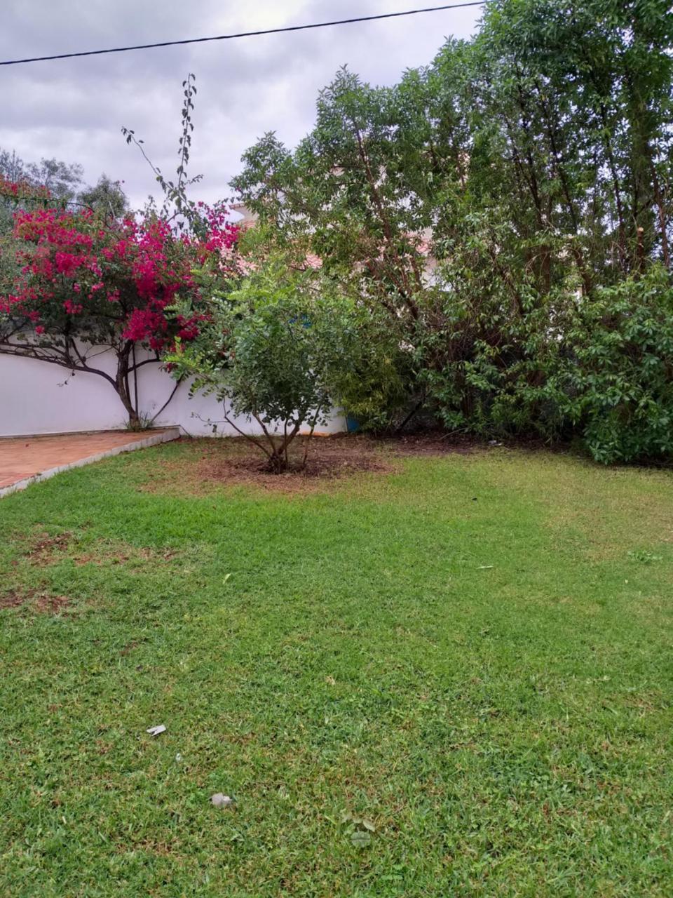 Quinta Da Moura Casa-De-Campo Pensionat Tavira Eksteriør billede