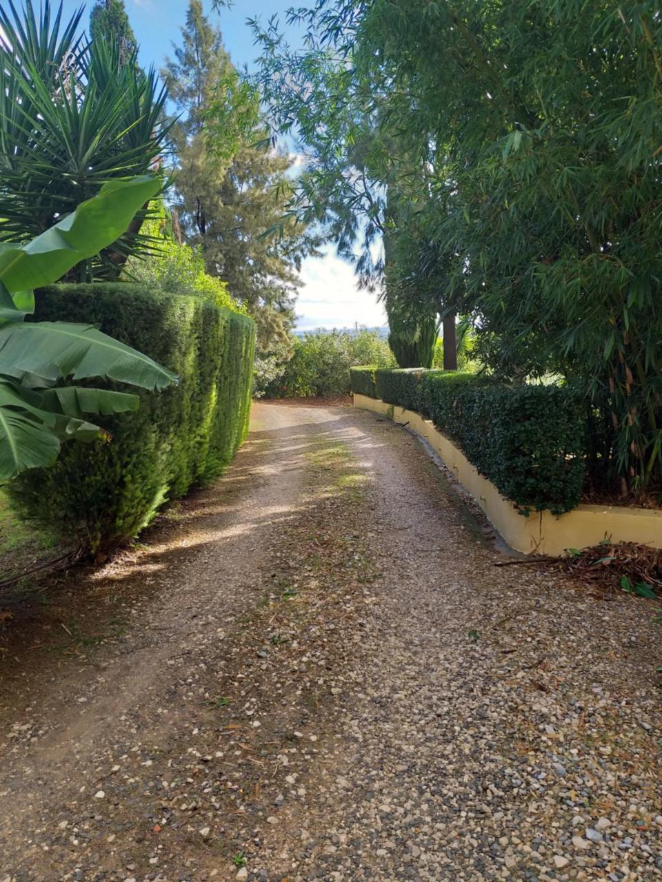 Quinta Da Moura Casa-De-Campo Pensionat Tavira Eksteriør billede