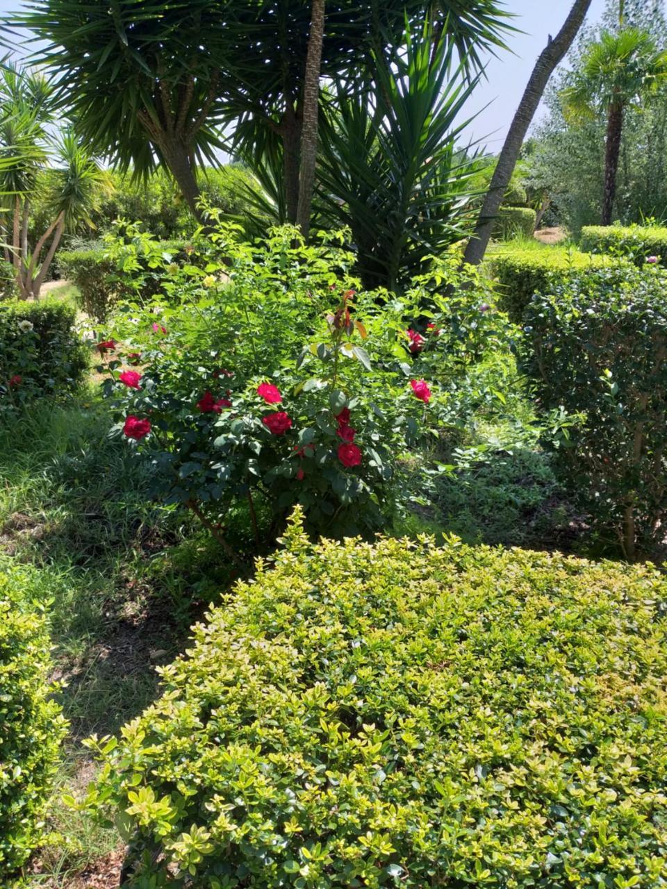 Quinta Da Moura Casa-De-Campo Pensionat Tavira Eksteriør billede