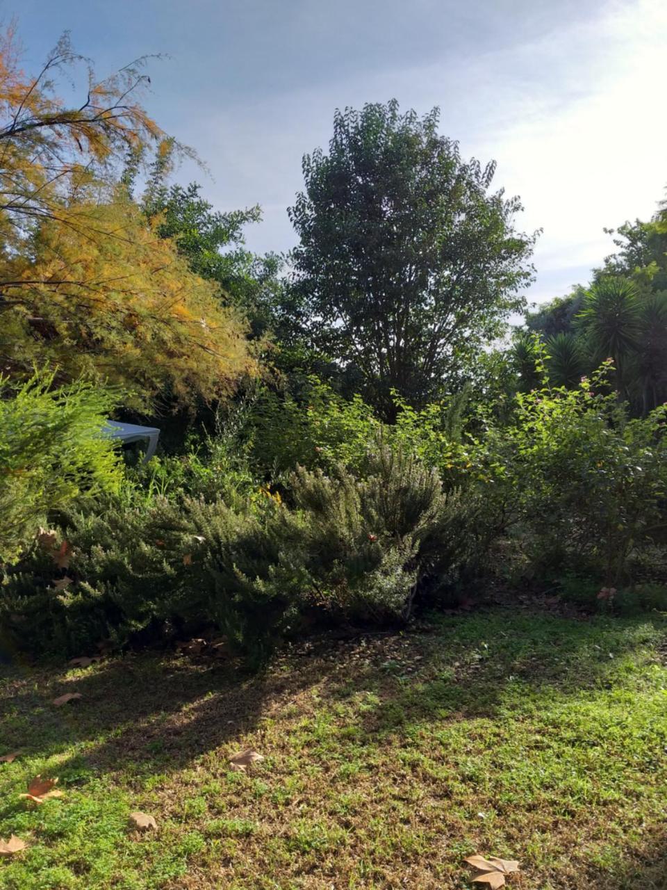 Quinta Da Moura Casa-De-Campo Pensionat Tavira Eksteriør billede